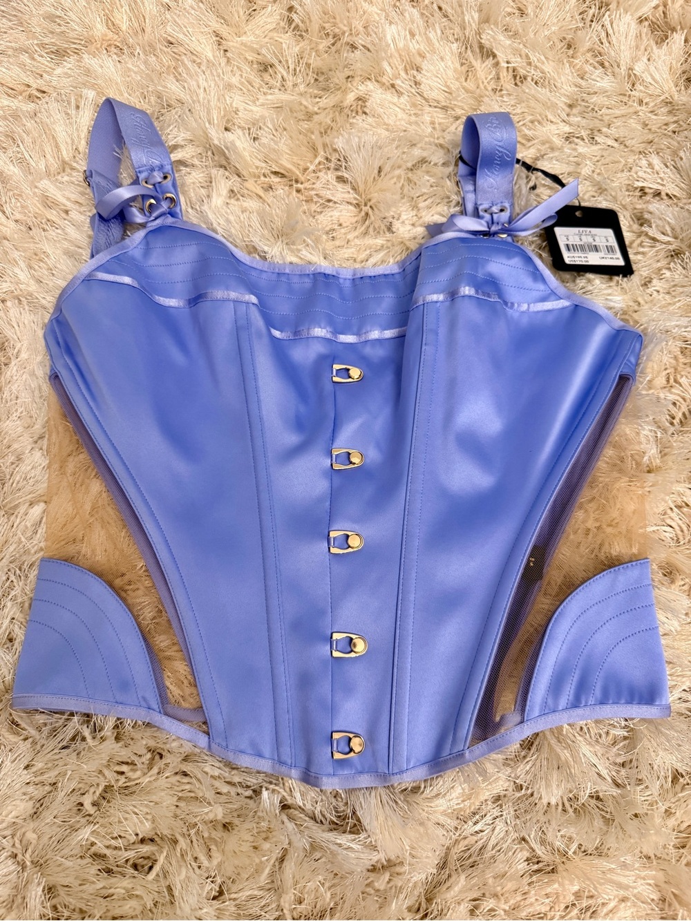 Luxury Honey Birdette Corset Top and matching bra